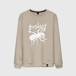 Свитшот хлопковый мужской Draw white logo - Ant, цвет: миндальный