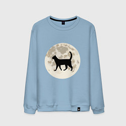 Свитшот хлопковый мужской Лунная кошечка, цвет: мягкое небо