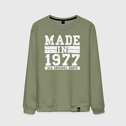 Свитшот хлопковый мужской Сделано в 1977 году, цвет: авокадо