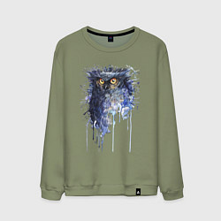 Мужской свитшот Прикольная сова в акварельном рисунке