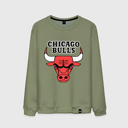 Мужской свитшот Chicago Bulls