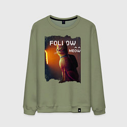 Мужской свитшот STRAY FOLLOW MEOW