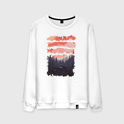Мужской свитшот Бездорожье и закат