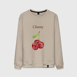 Свитшот хлопковый мужской Cherry вишня, цвет: миндальный