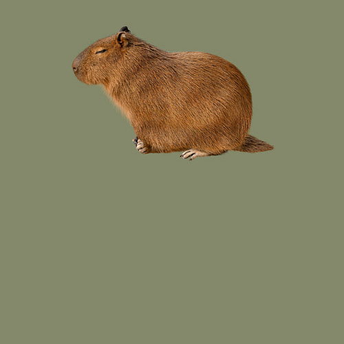 Мужской свитшот Капибара сидит и спит / Авокадо – фото 3