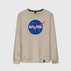 Свитшот хлопковый мужской SALAM, цвет: миндальный