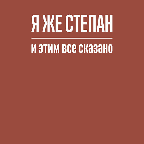 Мужской свитшот Я же Степан и этим всё сказано / Кирпичный – фото 3