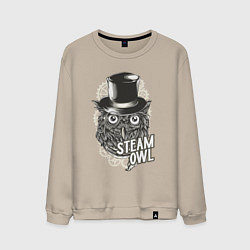 Свитшот хлопковый мужской Steam owl, цвет: миндальный