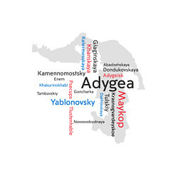 Свитшот хлопковый мужской Republic of Adygea, цвет: белый — фото 2