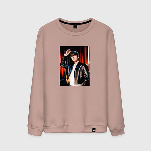 Мужской свитшот Seungmin Stray Kids Circus / Пыльно-розовый – фото 1