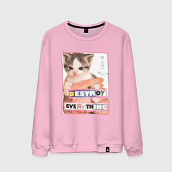 Свитшот хлопковый мужской Destroy everything kitty, цвет: светло-розовый
