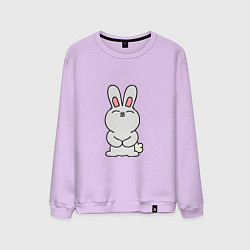 Свитшот хлопковый мужской Cute Rabbit, цвет: лаванда