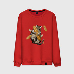 Свитшот хлопковый мужской Котик и батон, цвет: красный