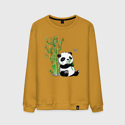 Мужской свитшот Панда бамбук и стрекоза