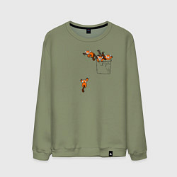 Мужской свитшот Красные панды в кармане