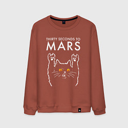 Мужской свитшот Thirty Seconds to Mars rock cat