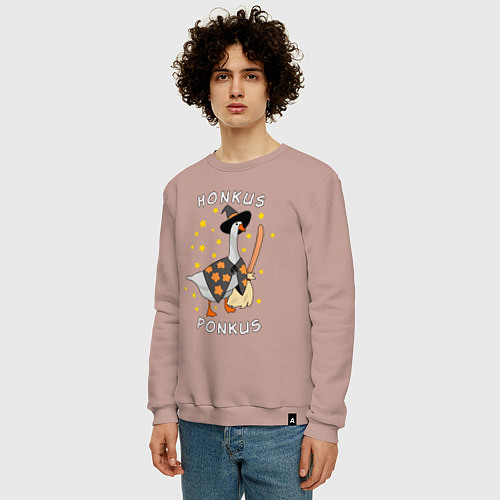 Мужской свитшот Гусь волшебник / Пыльно-розовый – фото 3
