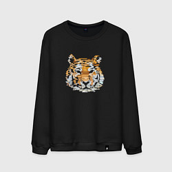 Свитшот хлопковый мужской Stroking tiger, цвет: черный