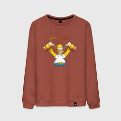 Свитшот хлопковый мужской Homer & Beer, цвет: кирпичный