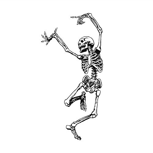 Мужской свитшот Скелет и балет / Белый – фото 3