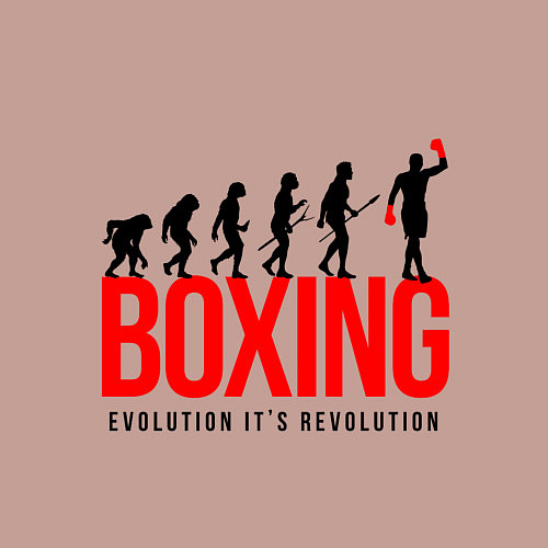 Мужской свитшот Boxing evolution / Пыльно-розовый – фото 3