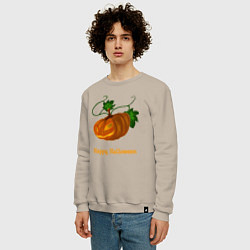Свитшот хлопковый мужской Trembling pumpkin, цвет: миндальный — фото 2