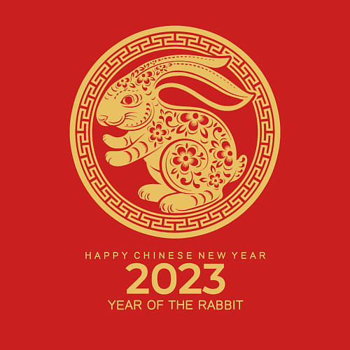 Мужской свитшот Year of rabbit, year of the rabbit 2023 / Красный – фото 3