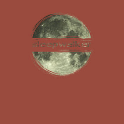 Свитшот хлопковый мужской Sleepwalker, цвет: кирпичный — фото 2