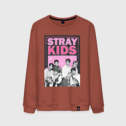 Свитшот хлопковый мужской Stray Kids boy band, цвет: кирпичный