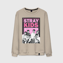 Мужской свитшот Stray Kids boy band