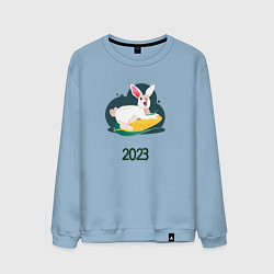 Мужской свитшот Кролик 2023