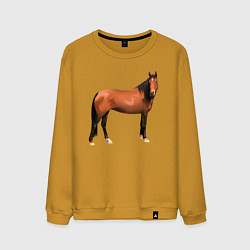 Свитшот хлопковый мужской Теплокровная лошадка, цвет: горчичный