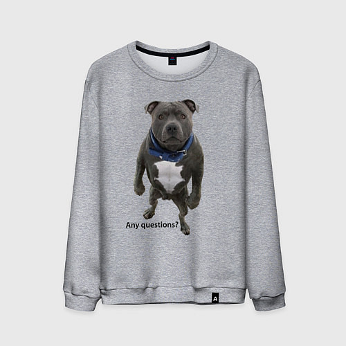 Мужской свитшот Вопросов нет - питбуль - мощь / Меланж – фото 1