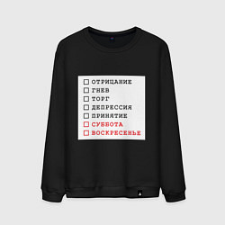 Мужской свитшот Стадии принятия юмор