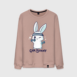 Мужской свитшот Gym bunny