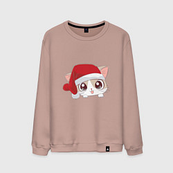 Свитшот хлопковый мужской Санта-котенок, цвет: пыльно-розовый
