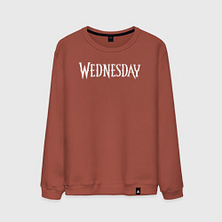 Свитшот хлопковый мужской Wednesday Logo, цвет: кирпичный