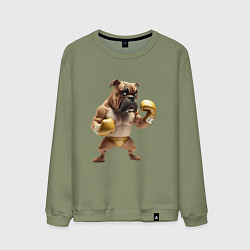 Мужской свитшот Собака занимается боксом