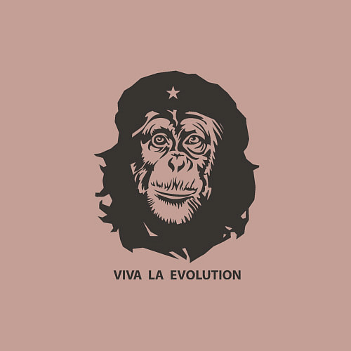 Мужской свитшот Viva la evolution / Пыльно-розовый – фото 3
