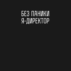 Свитшот хлопковый мужской Без паники я директор, цвет: черный — фото 2