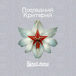 Свитшот хлопковый мужской Белая лилия - Последний критерий, цвет: меланж — фото 2