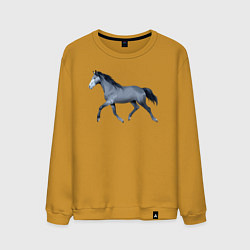 Свитшот хлопковый мужской Голштинская лошадь, цвет: горчичный