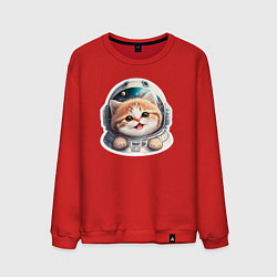 Свитшот хлопковый мужской Котик-космонавт, цвет: красный