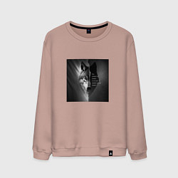 Свитшот хлопковый мужской Мем с волком, цвет: пыльно-розовый