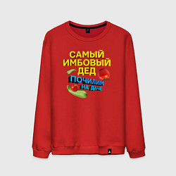 Свитшот хлопковый мужской Самый имбовый дед, цвет: красный