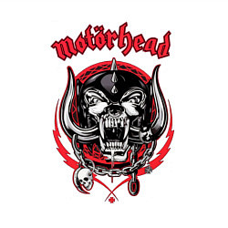 Свитшот хлопковый мужской Моторхед - лихач, цвет: белый — фото 2