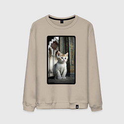 Свитшот хлопковый мужской Грозный котик, цвет: миндальный