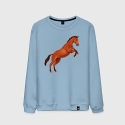 Свитшот хлопковый мужской Англо-арабская лошадь, цвет: мягкое небо