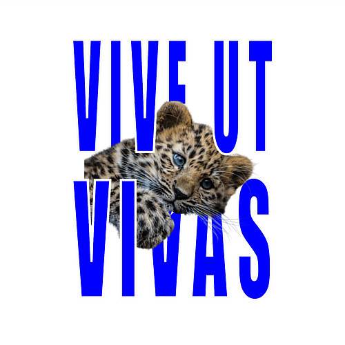 Мужской свитшот Vive ut vivas / Белый – фото 3