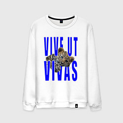 Мужской свитшот Vive ut vivas